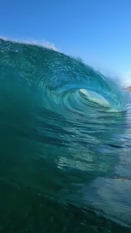 POV HOLLOW BARRELS ON REEF!  #satisfying #surfing #ocean #travel #nature #waves #surferboy #surfedit #surfingvideos #surfpov #surf #surfing #surfer #povsurfing #surfvideos #surfingvideo #surftok #surferboy #surfers #surfporn 