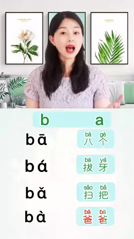 #learnchinese #chineseteacher #LearnOnTikTok #fowollme ##chineseiseasy #fowollme ##learning 