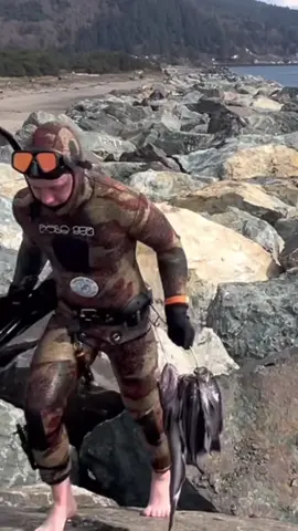 The perfect day 🙌🏼 #surf #snowboard #skate #spearfish #cliffjump #pnw #oregoncheck 