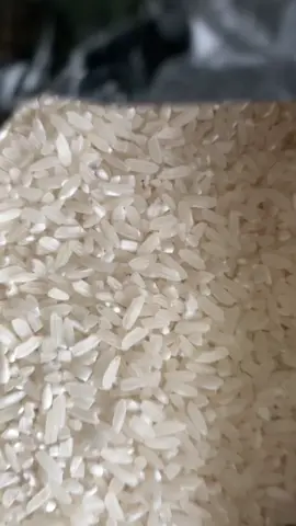 Siapa nih yang mau zakat di pesantren #alittihad #santri 