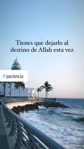 #viral #imzouren #frasesmotivadoras #temsamane #allahuakbar #amor #Love #true #paciencia  #parati #frases #amor❤️ #fyp #islam #foryou #parati #verdad #halal 