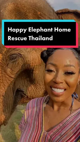 🚨DO NOT RIDE THE ELEPHANTS! Rescue them instead! Side Note: I also made sure to donate enough for them to eat watermelon for a few weeks! #happyelephanthome #elephantthailand #elephantsoftiktok 