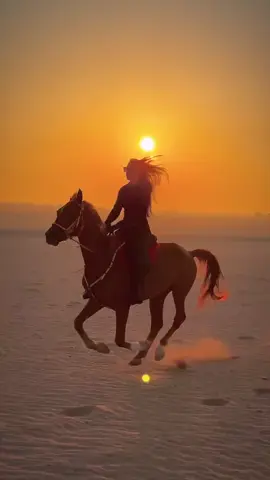 #keşfet #kesfetteyiz #kesfetbeniöneçıkart🖤🔥🖤 #kayseri38🇹🇷 #izmir35 #mersin33 #at #atabinmek🐎 #kesfetbeniöneçıkart 