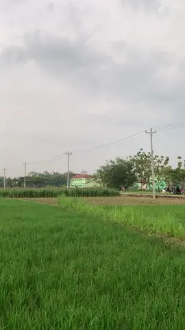 Inpomu sore ini apa kak ? #fyp #rxkingblayer #blayer135cc #blayeranrxking #blayeranrxking135c #teampedot135cc 