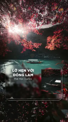 Trên thế gian này, bạn gặp ai, quen biết ai, bỏ lỡ ai, tất cả đều đã được sắp đặt #fyp #nhachaymoingay #xuhuong #trending #viral #lyricsvideo #tamtrang #thaihoccover 