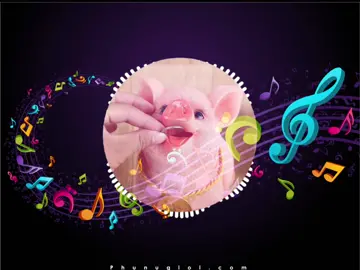 Con heo đất#nhacchuong #nhacchuongiphone #nhacchuongdienthoai #nhacchuongapp 