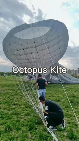 Giant Octopus  kite🪁 #kite #kiteflying #scenery #follow #foryou 