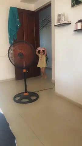 #parati #viral #niños #ventas  si. Los aguacates siguen así de caro tendré que mudarme