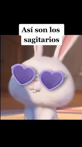 #soysagitario #conejo 
