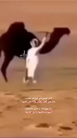 دون#ابلنا ماوطناا❤️🐪. #اكسبلور #نوف_اليامي 