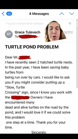 i love turtles