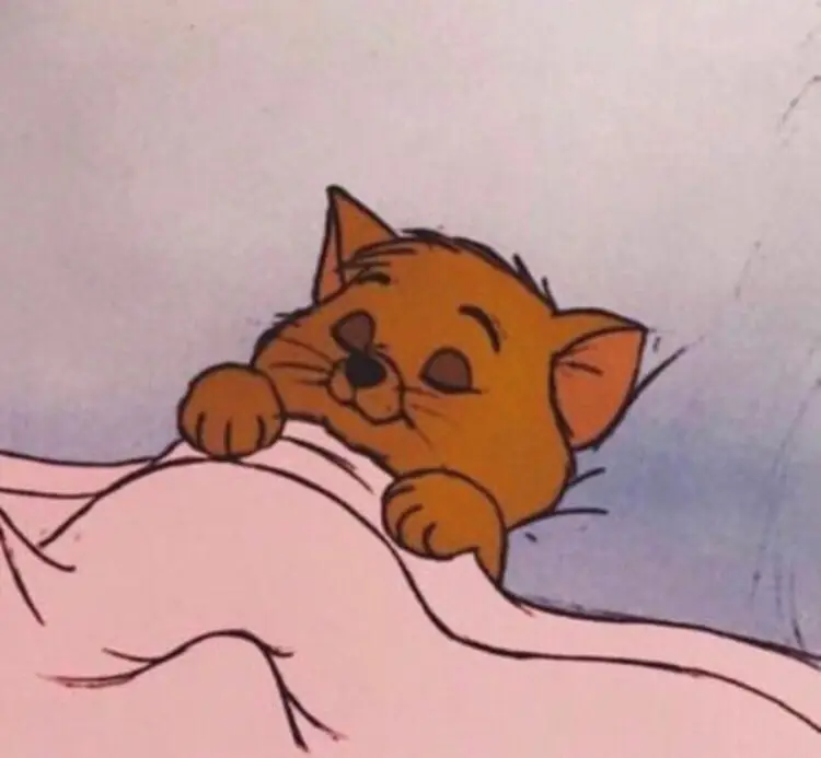 Sleeping is the vibe #fyp #sleep #pfp #cartoon #olddisney #trending #sleeping #Love #lanarey