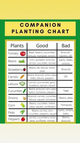 Found another companion planting chart online so thought id share!  #allotment #growyourownvegetables #foryoupage #trending #growyourownfood #allotmentlife #allotmentuk #growyourown #dig #nodig #greenhouse 