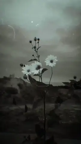 #المتمرد_إنفصام #المتمرد🥀🖤 #انفصام  الحساب الرسمي لكاتب كتاب المتمرد 