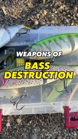 SHAKY HEAD IS NOT A NED RIG #swimbaits #bassfishing #fishing #fishtok #fyp #foryou 