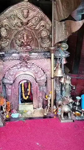 #omganganpateynamah #please #support #tiktoknepal🇳🇵 #fyp #goviral #jayshree #ganeshdewasi 