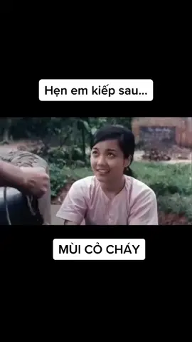 Hỏi trời cao ấy tình là chi? #xuhuong2023 #mùicỏcháy #bộđộicụhồ #fyp #xh #phimhaymoingay #xuhuongtiktok 