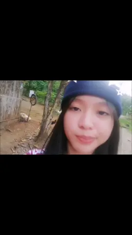 hehi 