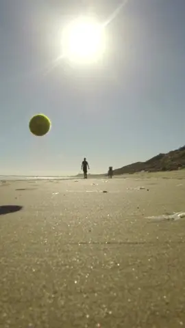 Ball hits Camera on Beach