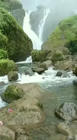 Kalo kamu jadi abah jajang apakah kamu akan jual atau pertahankan? apapun pilihan nya itu pasti pertimbangan terbaik versi masing-masing individu. #curugcitambur #rumahabahjajang #curugviral #airterjunviral #bahjajang #rumahbahjajang #masyaallahtabarakkallah 