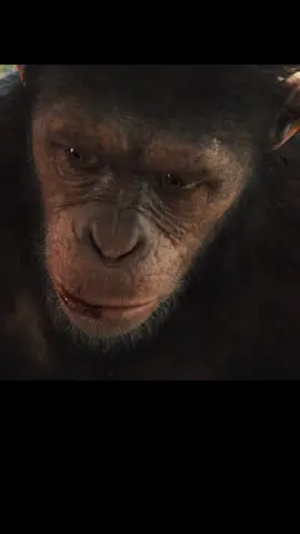 Episode 9 #riseoftheplanetofthapes #movie #movieclips #foryou #tiktok 