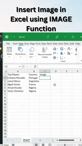 Insert Image in Excel #exceltips #yorubatiktok #stem 