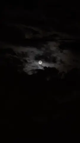 the moon is beautiful, isn’t it?                                #fyp #moon #aesthetic #night #sky #beauty #foryou #viraltiktok #اكسبلور 