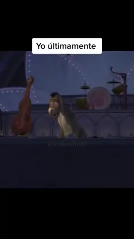 #yo ya estoy como este burro...porq estoy solita no hay nadie aquí a mi lado 😢#