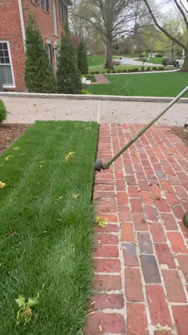 Your daily dose of lawn care 🤌🏽 #satisfying #lawntok #fyp 