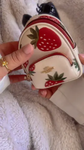 the way an entire face of makeup fits in here 🥹😍  #coach #strawberry #minibag #mini #makeup #makeupbab #fyp #fypage #lipstick #blush #powder #small #tiny #tinythings 