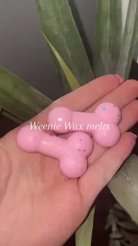Wax weenies 🤣 #weenies #gaggift #bridesmaids #brides #gift #wax #waxmelts #fyp #foryoupage #viral 