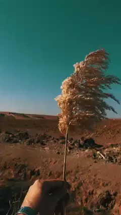 پەتی درۆ کورتە.🤍❤️