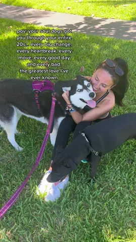 the soul dog that got you through your entire 20s >>> 