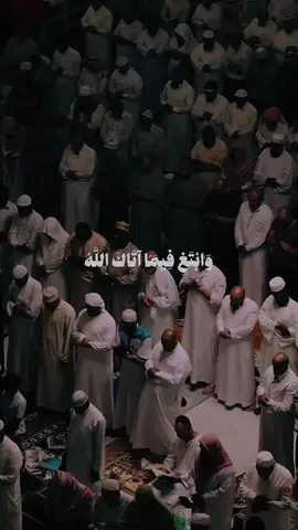 اجر لي ولكم ان شاءالله ❤️                                           #عبدالبديع_غيلان #quran #تلاوة_خاشعة #قران_كريم #سورة_القصص #اكسبلورexplore 