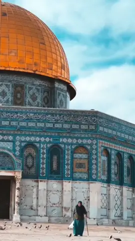 ولا بد يوما سيرجع الاقصى 🇩🇿🤍🇵🇸 #alaqsa #palstine #free_palstine #المسجد_الاقصى #فلسطين🇵🇸 #ضد_التطبيع_مع_اسرائيل #ابدا_لا_لن_نحيد 