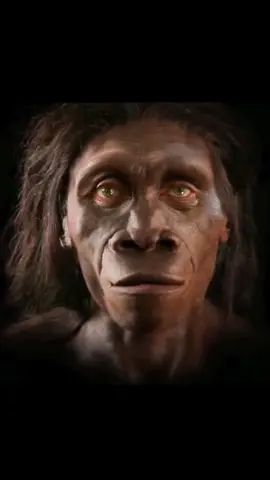 Human Evolution In 40 Seconds #human #humanity #evolution #humanevolution #timelapse #fyp #fypシ #foryou #knowledge #tiktok #knowledge #viral #