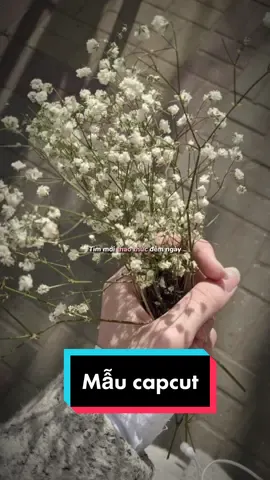 #CapCut quả nhạc cute xỉu #capcutmaster #iuladay #cute #lyrics #chill 