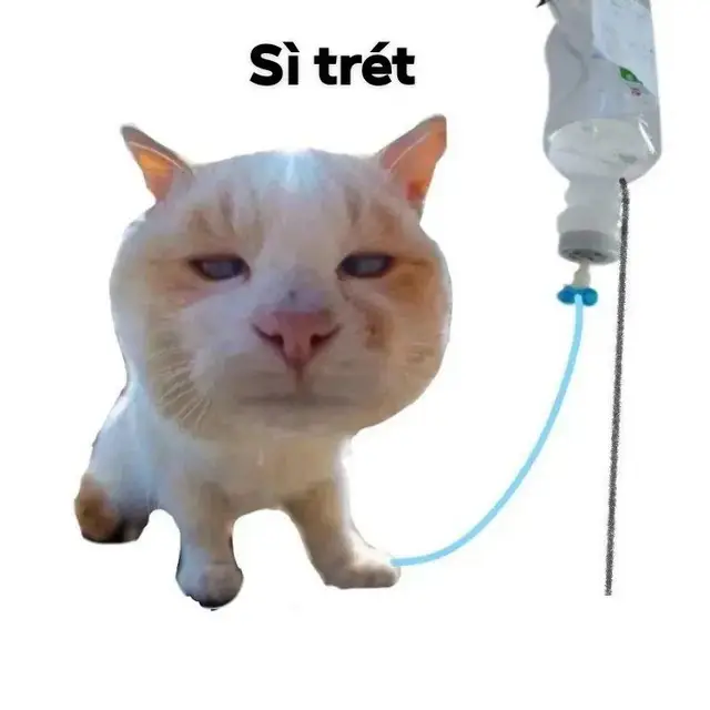 [8] #ảnhchế #hàihước #meme #xh #ảnhhài #xuhuong 