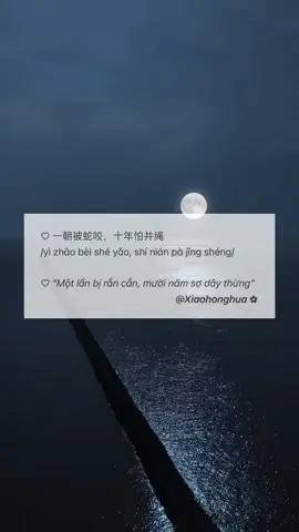 Bạn hiểu câu này chứ ? 🍂 #Hoctiengtrung #tiengtrung #cungbantruongthanh #trichdanhay #songngu #quote #xuhuong #sachtiengtrung #Xiaohonghua #Yingshu