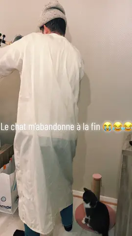 Sérieusement, il n’y a rien qui va dans la vidéo ! 😂 #drole #humour #catsoftiktok #cat 