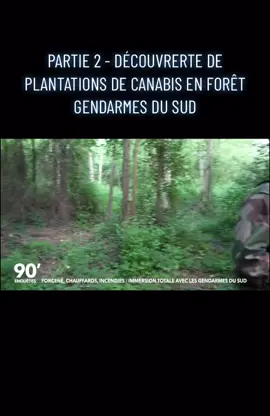 Partie 2 - Découverte de plantation de canabis en forêt, Gendarmes du sud #reportage #enquete #police 