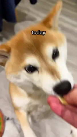 dropping a new beat on you