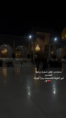 شكد صارلكم ما زايرين مسلم ع ؟؟ #الكوفه_المقدسه #مسلم_ابن_عقيل_ع #النجف_الاشرف 