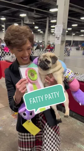 Look at Fatty Patty!🥹 She was ‘Grand Sweepstakes Winner’ at her 1st dog show. Proud Daddy Moose was there cheering his little girl on....WOOF!!💗🤍💕🌷🐰 #FattyPatty #DaddysGirl #pugdashiansl  
