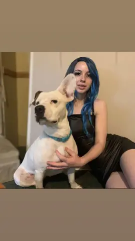 Denise Frazier, 19, was snapped with the dog after crashing her car in Myrick, Mississippi last Sunday - days before she was arrested over a clip of the alleged bestiality. Cops have also since revealed that the alleged dog sex clip was shot outside a Baptist church in Frazier's hometown.