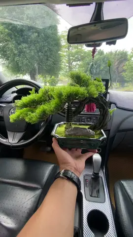 “Bonsai decor để bàn” #bonsaidecor #câyphongthuỷ #câygiả #trangtribanlamviec