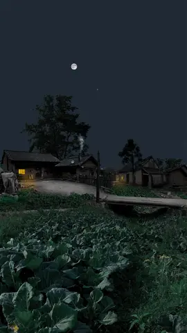 Cảm xúc của bạn là gì khi xem video này? 🙂 #anyen #binhyen #quenha 