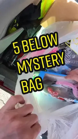 Crazy 🤪 Mystery Bag at 5 Below !!  #dumpsterdiveking #dumpsterdiving #dumpsterdiver #mystery #mysterybox #reveal 