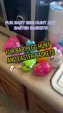 FUR BABY EASTER EGG HUNT AND BASKETS 🐣🐣🐣🐾🐾 #easter #easteregghunt #easterbasket #dogs #furbabies #fy #fyppppppppppppppppppppppp #explorepage #fypage 
