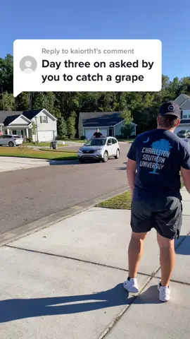 Replying to @kaiorth1 Grape Catch 🍇 WHAT SHOULD I CATCH NEXT? #trickshot #catch #trickshots 